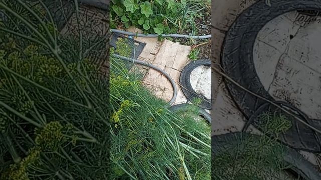 внучку домой собираем.огород смотреть онлайн