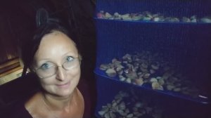 Видео привет с 6 соток 2 августа 2025 года