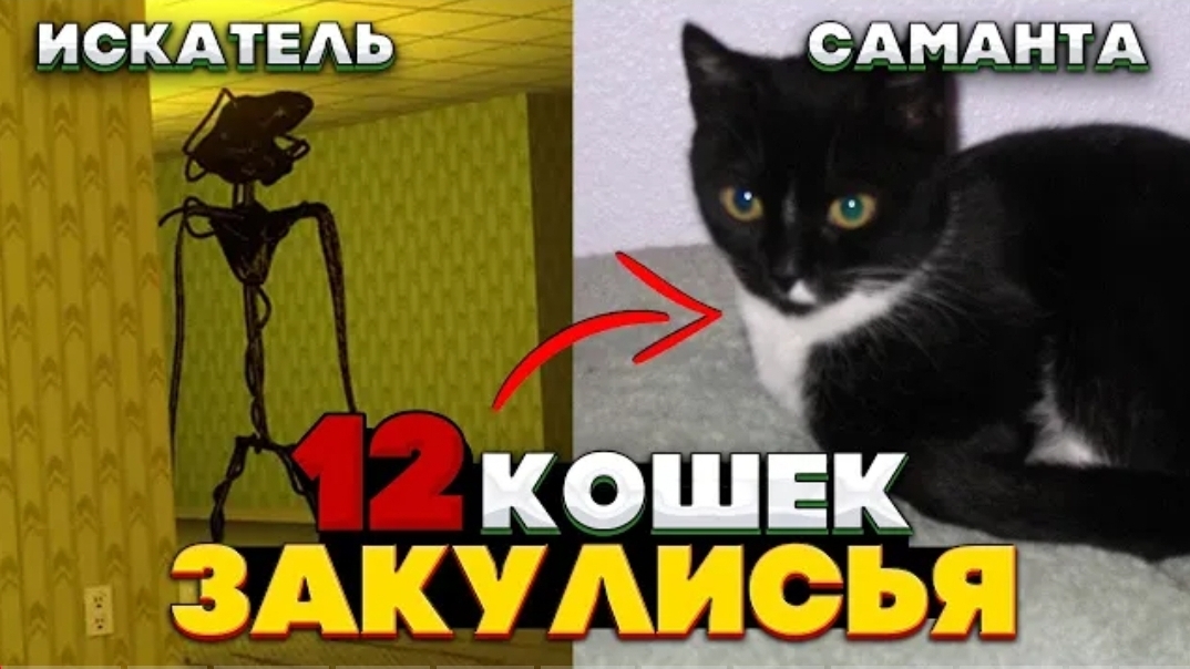 12 Аномальных КОШЕК Закулисья - Собери коллекцию, стань... смотреть онлайн