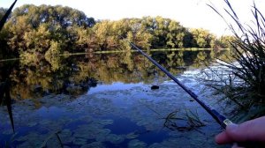 Микроджиг в июле. Team Dubna Backwater 702UL Jig.