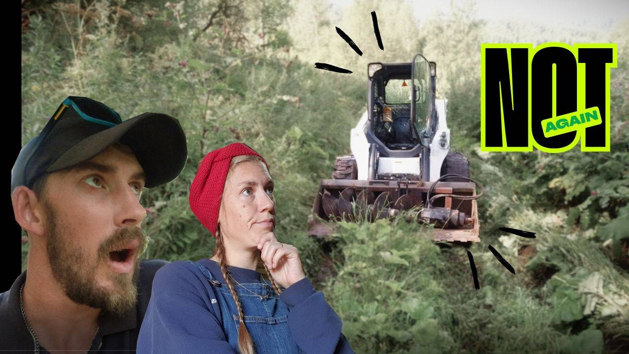 И МЫ ВЕРНУЛИСЬ В ПУТЬ, ЧТОБЫ НАЙТИ БОЛЬШЕ ДРАМЫ! смотреть онлайн