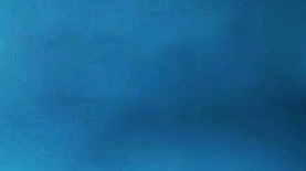 Играй и будь королём