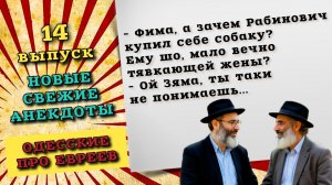 Свежие анекдоты про евреев. Смешные одесские анекдоты и шутки, для хорошего настроения.