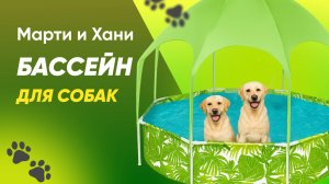 БАССЕЙН ДЛЯ СОБАК / КАРКАСНЫЙ БАССЕЙН С НАВЕСОМ BESTWAY / КАК СПАСТИ СОБАК ОТ ЖАРЫ ЛЕТОМ?
