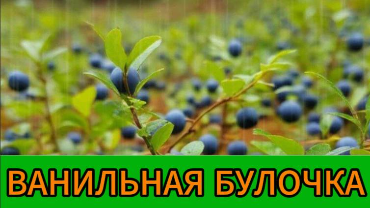 Ванильная булочка смотреть онлайн