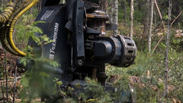 Лесоруб — 2025 смотреть онлайн