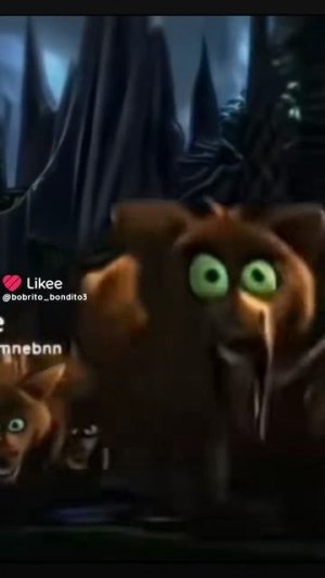 почему пингвины не боятся людей