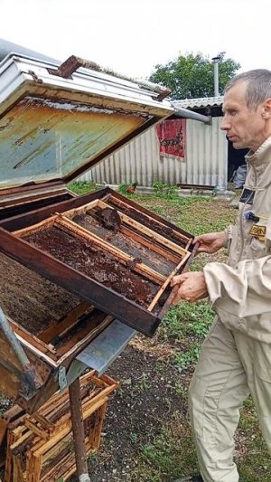 Солнечная воскотопка - наш вариант.