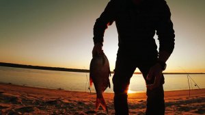 Я Его Ждал и Он Клюнул!!! Рыбалка на Донки-Крокодилы!