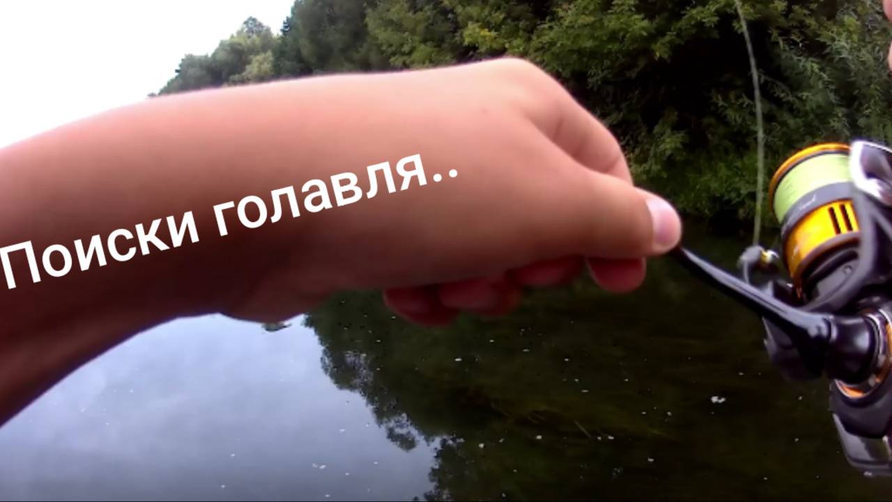Большие поиски головля и жереха, по малой реке. Проня за дамбой. Рыбалка в июле.