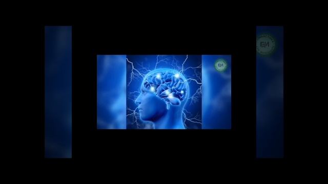 Курс 📘 Руководитель 💼
Прикасаясь к Завтра. Создаю Сегодня 🕒