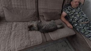 Нечем похвастаться, татарский пирожок