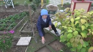 Удлинила тропинку плиткой "8 кирпичей"  размер плитки тротуарной 40х40х5 см