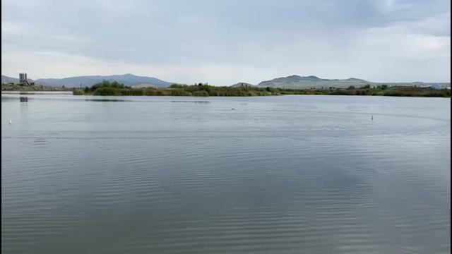 Большая тренировка смотреть онлайн
