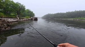 Рискнули проверить медвежью реку, И ВОТ КАКАЯ РЫБАЛКА ВЫШЛА. Камчатка