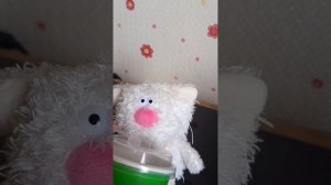 Кофейные котики Budi Basa