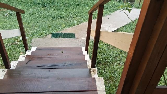 СОЧИ ГОРНОЕ ЛОО УТРО 04.08.2025 смотреть онлайн