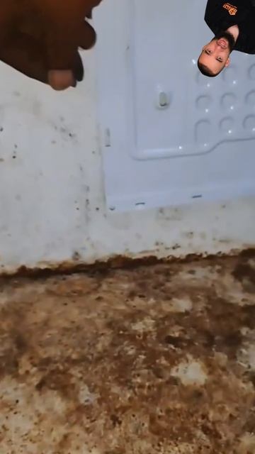 Необычная переделка холодильника смотреть онлайн