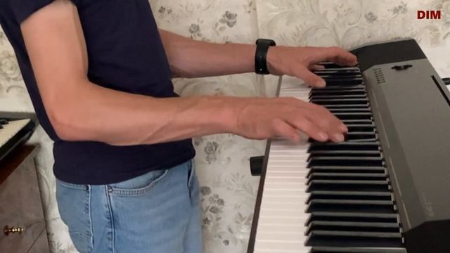 Roland G-800 Workstation And Casio CDP-130 Digital Piano. Music Show.