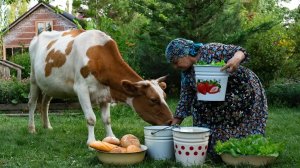 Готовим Довгу И Печём Хлеб В Тихой Деревенской Кухне 🥣🍞