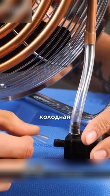 шортс(1) смотреть онлайн