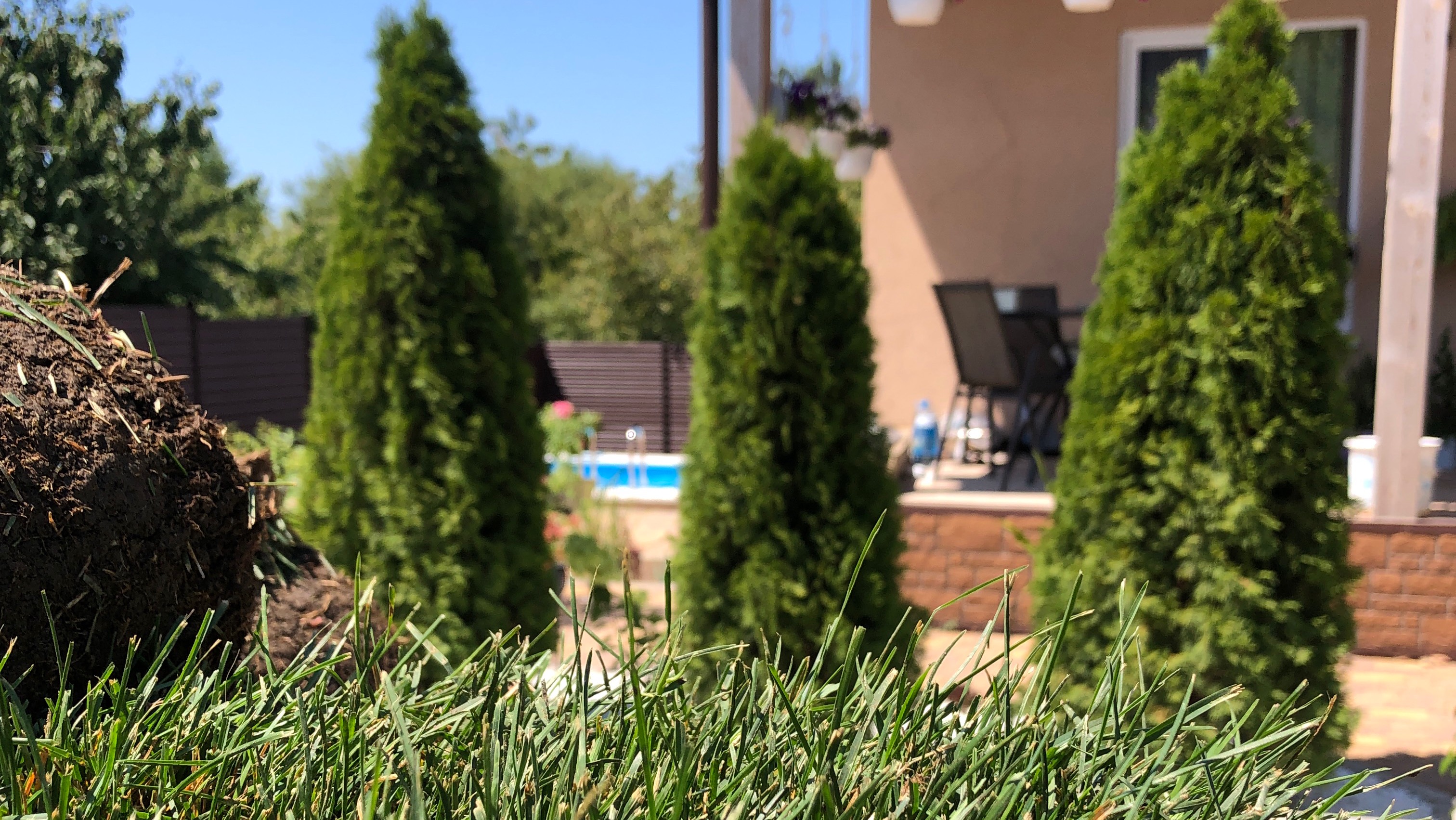 Привезли рулонный газон! Через несколько часов газон будет готов смотреть онлайн