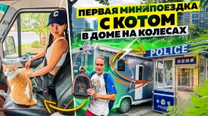 ЖИЗНЬ С КОШКОЙ в АВТОДОМЕ #5