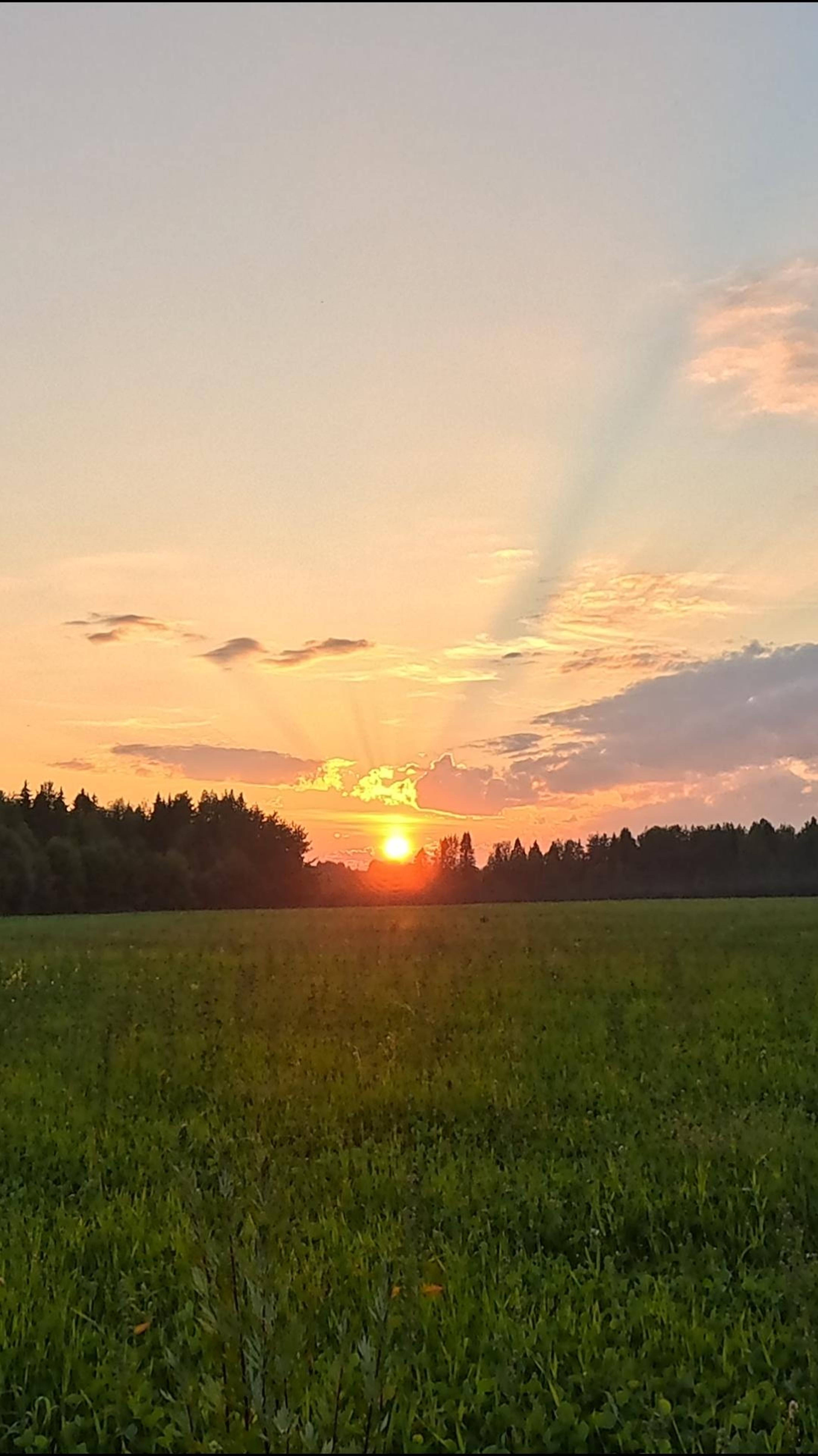 🍄🍄🍄 смотреть онлайн