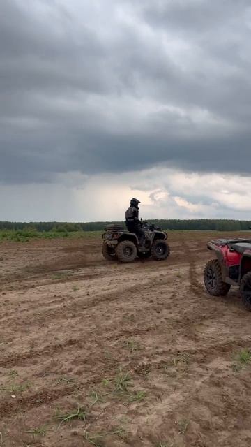 Квадроцикл AODES 1000 Вили смотреть онлайн