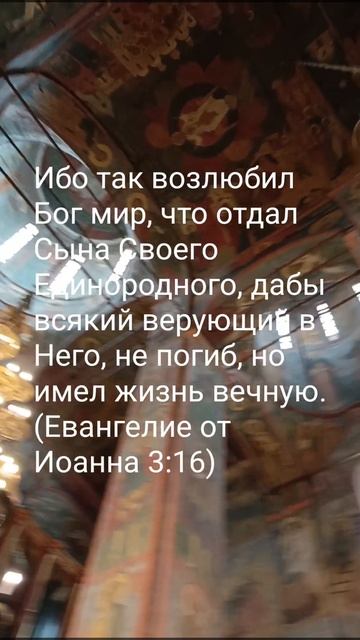 вера#shorts смотреть онлайн