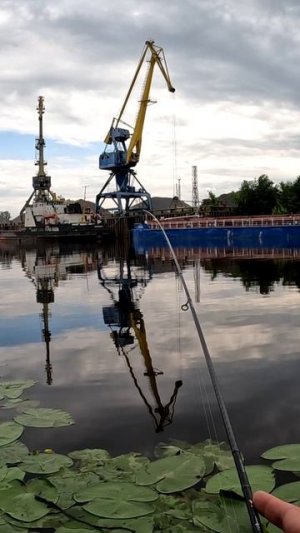 Рыбалка с корейцем. НЕ ОБЗОР JS Company Nixx Ajing1