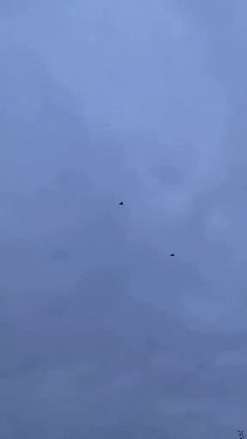 Целой стаей "Герани" полетели по своим делам. Красиво. смотреть онлайн
