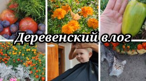 🏡Небольшой деревенский влог/Первый поход Артёма в парикмахерскую/Новый котик/Огромный урожай