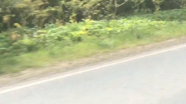 Мопеды сериал | Серия 1305