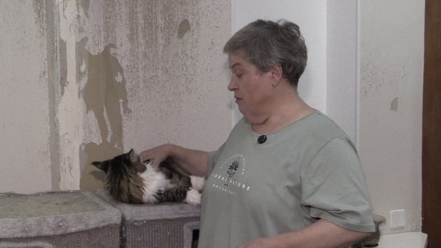 Известия. Владимир: Друзья в доме — Кот Стёпа