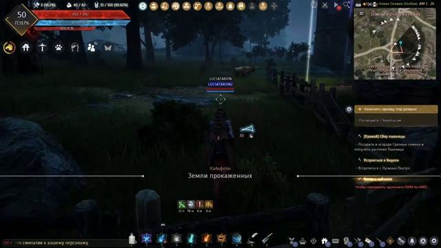 Black Desert ч61 Писец пожарил блин мясца