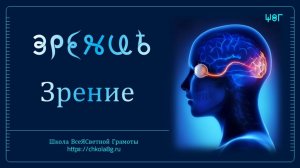 Зрение. ВсеЯСветная Грамота