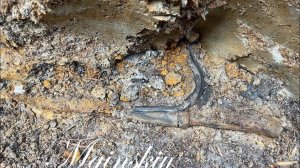 Коп по войне. Раскопали не тронутую немецкую палатку.