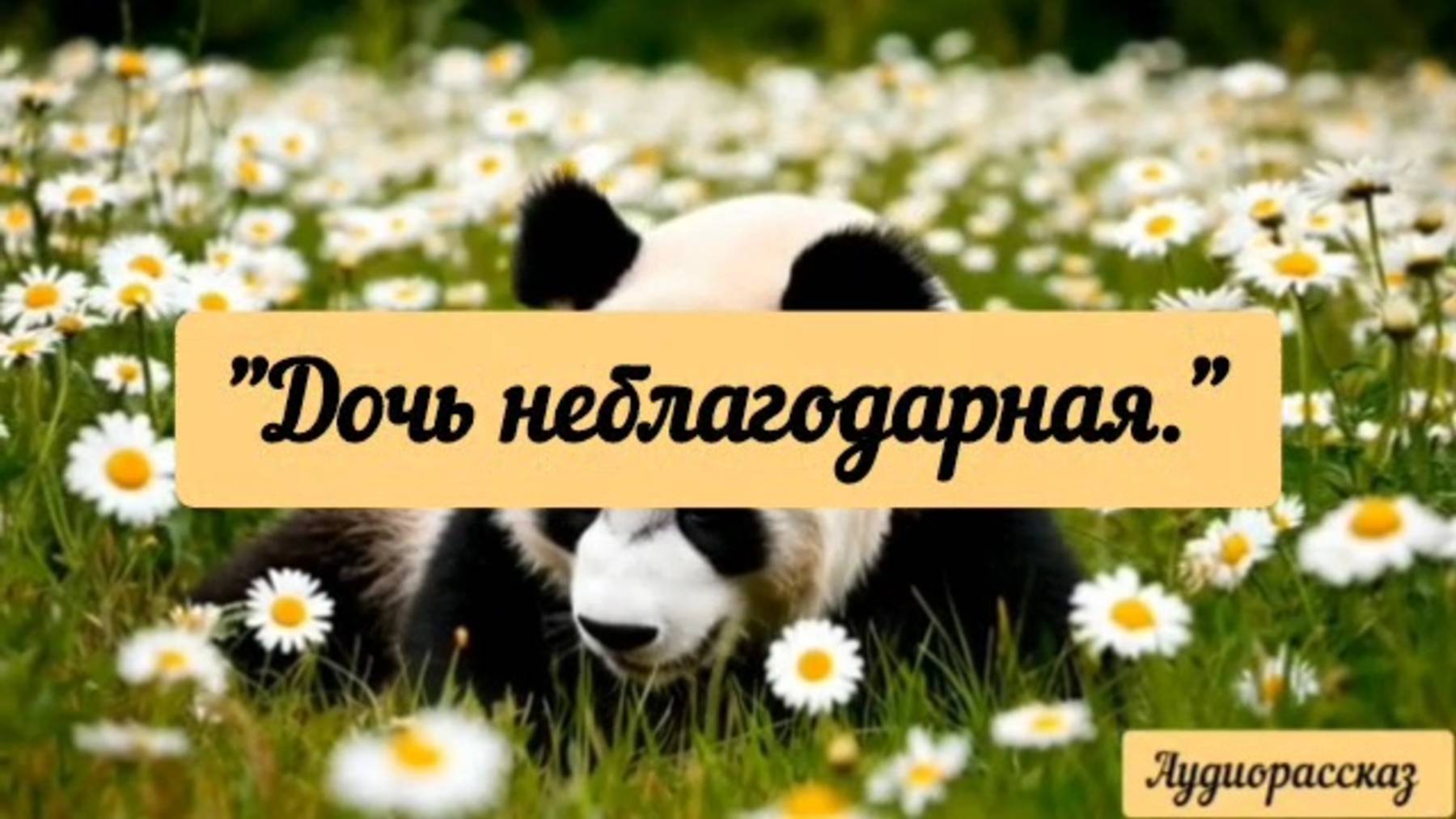 У таких матерей дочери всегда неблагодарные.