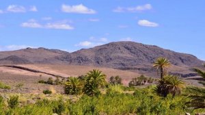 Сахих аль-Бухари, хадисы № 321-330. Фокус темы: МЕСЯЧНЫЕ - 4