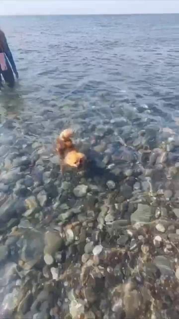 Мирася 💖💖💖 смотреть онлайн