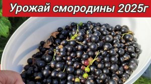 Зимой будем с витаминами