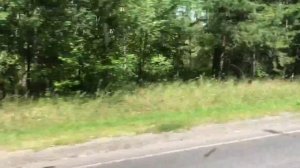 Мопеды сериал | Серия 1281