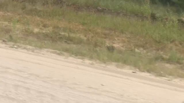 Мопеды сериал | Серия 1270