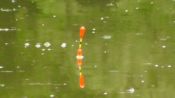 Ловля карпа на поплавок и фидер. Поклевки крупным планом!!!