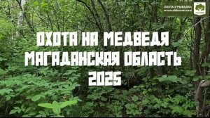 Охота на медведя с лайками от первого лица. Магаданская область. +18