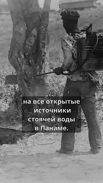 Судоходный канал, который был вырыт микроскопом смотреть онлайн