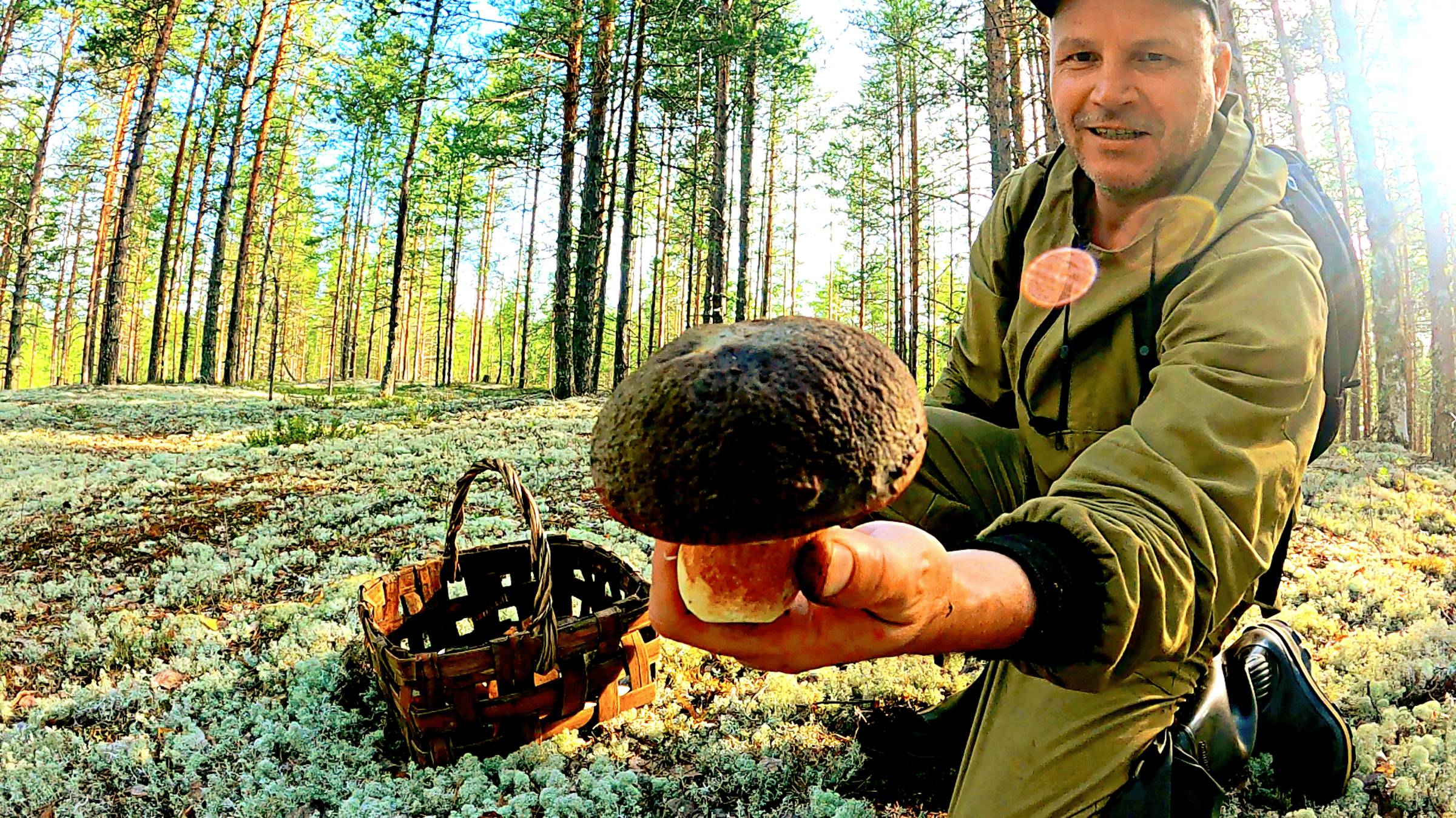 Грибник зашел в МОХ и обалдел такого НЕ ОЖИДАЛ! Грибы и лес сказочная Карелия смотреть онлайн