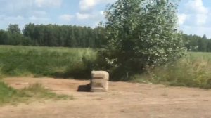 Мопеды сериал | Серия 1217