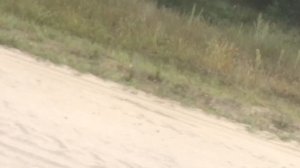 Мопеды сериал | Серия 1176